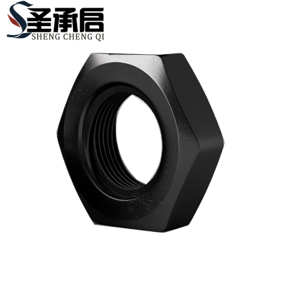 圣承启 扁薄螺母 M10 个