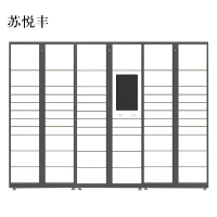 苏悦丰智能快递柜小区快递自提柜派件柜室外寄存柜信报箱储物柜一主两副61格