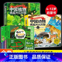 中国植物+动物+昆虫 共13册 [正版]出版社直发全13册博物大发现:我的1000位昆虫朋友+中国动植物很高兴认识你+永
