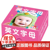 撕不烂全卡 · 英文字母 英语字母卡片26个大小写abc英文小学生幼儿园启蒙早教宝宝学习卡