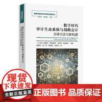 数字时代审计生态系统与战略会计 国家金融安全与风险治理译丛 [土耳其]塔梅尔·阿克索伊 等编 郑国洪 等译 商务印书馆
