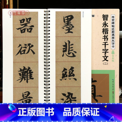 [正版]学海轩共2本智永楷书千字文笔法示范视频碑帖近距离放大字卡全文米字格简体旁注局部原帖楷书毛笔书法字帖成人学生临摹