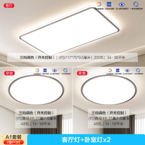 欧普LED吸顶灯大客厅自建房超大卧室简约现代智能灯具初见IITC