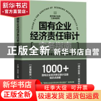 正版 国有企业经济责任审计实务指南 于维严,赵志新 人民邮电出