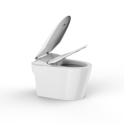 金牌卫浴GOLD R30Q脚感冲水 轻智能马桶 KA (含安装)RF3300Q