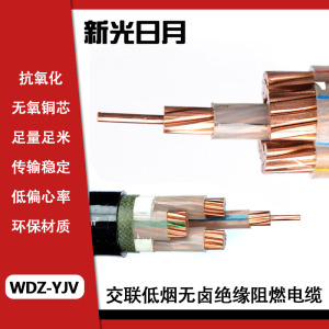 新光日月交联低烟无卤绝缘阻燃电缆WDZ-YJV 4×10mm²/米