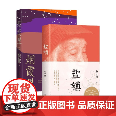 烟霞里+盐镇 套装2册 魏微 易小荷 著 文学