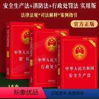 [正版]2023适用新版中华人民合共和国安全生产法+消防法+行政处罚法实用版法律法规司法解释注释本消防安全学习用书