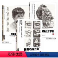 国美素描三件套 [正版]国美素描头像人物石膏五官头像临摹书全集教程范本照片联考高考校考专升本美术生面部结构绘画画教学对画