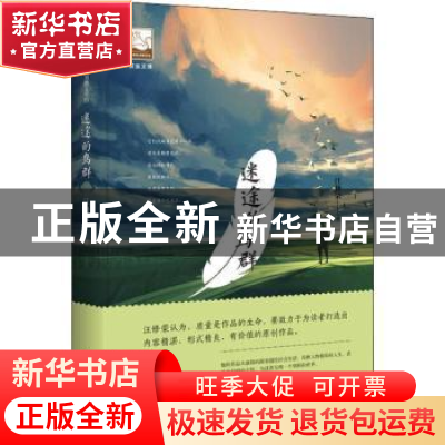 正版 迷途的鸟群 汪修荣著 中国书籍出版社 9787506869553 书籍