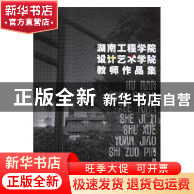 正版 湖南工程学院设计艺术学院教师作品集 段辉主编 辽宁美术出