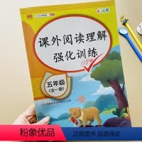 [正版]小学五年级阅读理解训练人教版语文阅读理解专项训练书每日一练5年级课外阅读分析练习题人教版上册下册阶梯阅读真题模