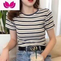 七斓正肩t恤女短袖夏季2023新款薄款修身显瘦撞色条纹t桖短款上衣