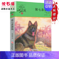[正版]新版第七条猎狗沈石溪动物小说品藏书系青少年课外启发读物教辅7-9-10-12-15岁中国儿童文学少儿童话故事中小