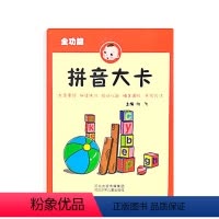 拼音大卡 [正版]拼音大卡幼小衔接一年级儿童拼音拼读训练学习启蒙认知声母韵母大卡字母卡3-4-5-6岁小学一年级幼升小全