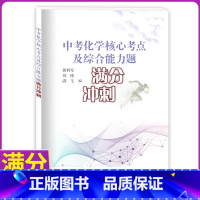 [正版]新版 中考化学核心考点及综合能力题满分冲刺 九年级全一册初三化学核心考点综合能力解析复习资料辅导书中学教辅 上