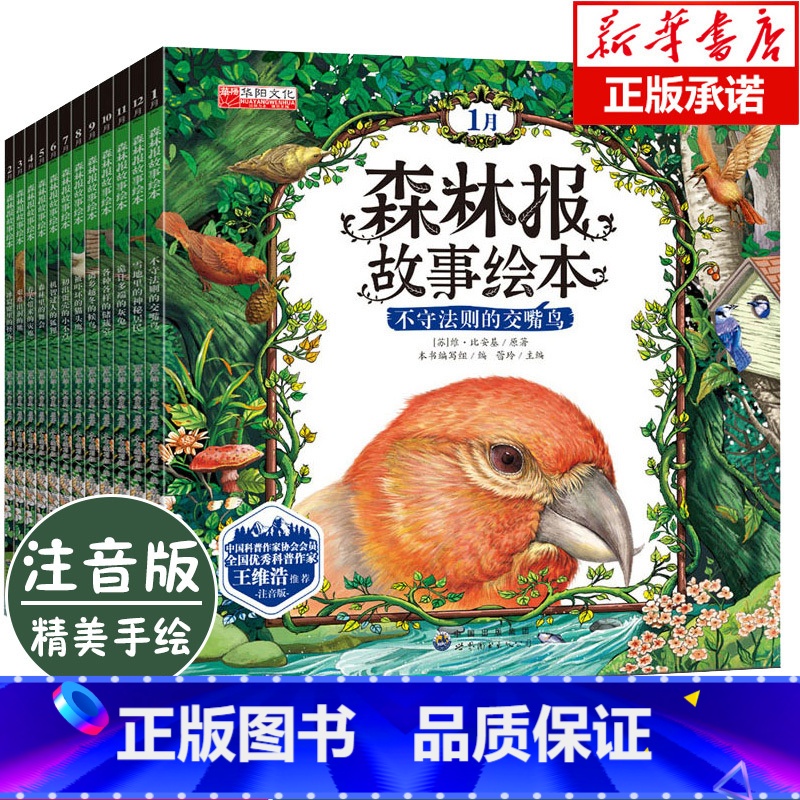 [正版]森林报故事绘本全套12册 春夏秋冬 幼儿童绘本图画故事书彩图注音版6-7-8-9-12岁一二三年级课外阅读书籍