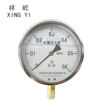 祥屹 耐震压力表 YTN150 块