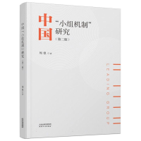 音像中国“小组机制”研究周望