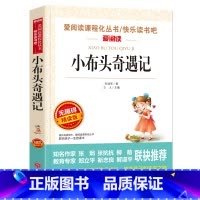 [正版] 小布头奇遇记 孙幼军著 小学生课外阅读书籍三四五六年级语文必读青少年版儿童读物故事书二年级小布头新奇遇记