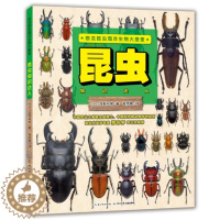 [醉染正版]恐龙昆虫海洋生物大搜查昆虫知识达人 4-6-12岁儿童科普百科 低幼学自然认知世界书籍