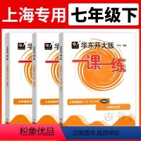 [正版]2024一课一练七年级下册语文数学英语增强版7年级下第二学期上海初中初一课后同步练习册沪教版华东师大版七下全套