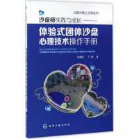 音像沙盘师实践与成长刘建新,于晶 著