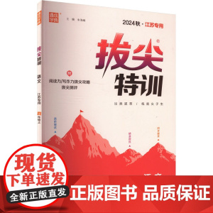 拔尖特训 语文 四年级上 江苏专用 2024