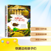 正版新书]铁路边的孩子们/国际大奖儿童文学[英]伊迪丝·内斯比