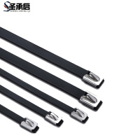圣承启 不锈钢扎带 9*250