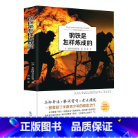 [正版]钢铁是怎样炼成的初中生原著完整版原版人民教育出版社初二八年级下册必读课外阅读书籍人教版文学名著怎么样练成的8年