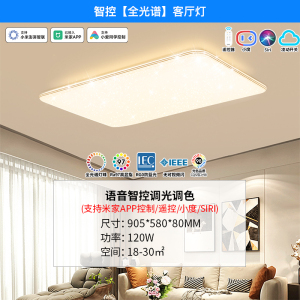雷士照明NVC 全光谱护眼吸顶灯语音智能遥控吸顶灯客厅灯卧室灯吊灯灯具套餐浪漫满天星现代简约灯具客厅吸顶灯组合