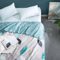 罗莱家纺全棉水洗蚕丝夏被新一代200×230cm