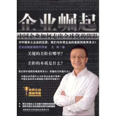 正版新书]企业崛起-中国企业如何走出全球化的阴影王涛978756135