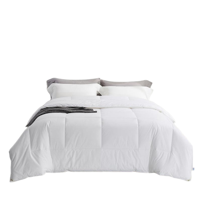 浩博时代 羽丝绒被芯 HNSD653 条