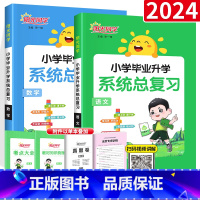 小学系统总复习[语文+数学]2本 小学升初中 [正版]2024版小学毕业升学系统总复习人教版语文数学英语小升初总复习小学