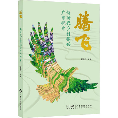 腾飞——新时代乡村振兴广东探索