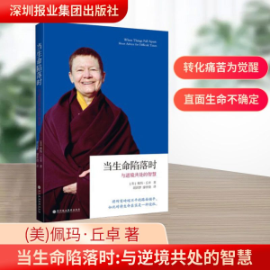 [M]当生命陷落时 与逆境共处的智慧-9787807095125