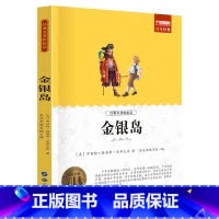 单册 [正版]经典名著轻松读金银岛五年级课外阅读书少年儿童成长文学读物原版文艺书籍小学生课外书阅读书目二三四五六年级图书