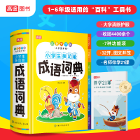 音像小学生多功能成语词典(彩色大字版)孙运生