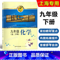 [正版]智慧学习步步高丛书 精练与提高 化学九年级第二学期/9年级下 上海科学普及出版社 上海版配套教辅练习