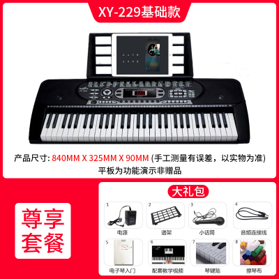 电子琴炎成人初学者入多功能61键儿童家用专业幼师教学专业基础版-229琴+礼包