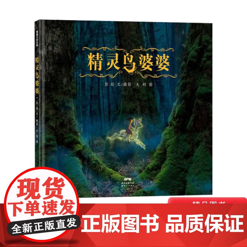 精灵鸟婆婆精装绘本精灵森林的冒险故事图画书想象力飞驰适合4岁5岁6岁7岁8岁儿童亲子共读蒲蒲兰正版童书
