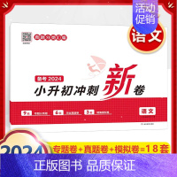 小升初[语文] 冲刺新卷 初中通用 [正版]2025初中语文阅读训练五合一七八九年级阅读题100篇技能专项现代文言古文诗
