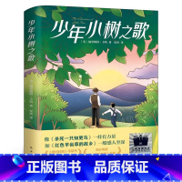 少年小树之歌 [正版]今天我是升旗手书中国童话黄蓓佳儿童文学系列四五年级课外书上下册小学生阅读书籍经典书目读物适合孩子看