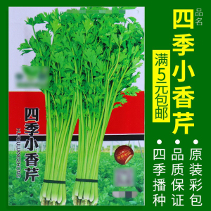 [补贴10%]蔬菜种子四季播盆栽阳台庭院辣椒番茄甜瓜黄瓜简单秋易种籽孑大全