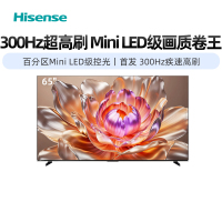 海信电视65D63QD 65英寸 Mini LED级控光 300Hz高刷