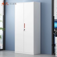 质凡钢制储物档案资料柜 二门文件凭证柜