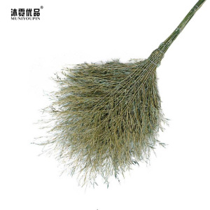 沐霓优品 大扫把 4公斤 把