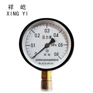 祥屹+压力表检测定制型+Y100+块
